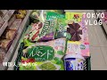 일본 도쿄 브이로그 l 마트 장보고 프렌치 토스트, 접는 김밥 만들어 먹는 도쿄 일상 브이로그