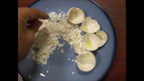 Biggest mistake with Egg shells and gardening