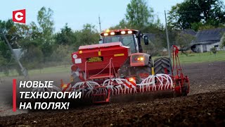 Революция в сельском хозяйстве! Какие проблемы стоят перед белорусскими аграриями?