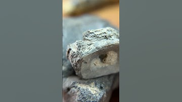 What does a paleontologist have in his collection? An interesting vertebra! #fossils