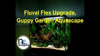 Fluval Flex Upgrade, Guppy Garden Aquascape#fish #aquascape #guppy #nature #plantedtank #guppyfish