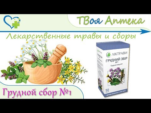 Грудной сбор №1 - показания, описание, отзывы (Бронхиальная астма, Бронхит)