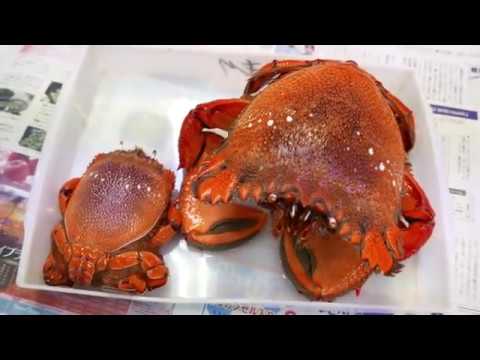 Caranguejo Estrangeiro -