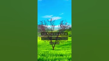 تِلْكَ الْجَنَّةُ الَّتِي نُورِثُ مِنْ عِبَادِنَا || القارئ أحمد جمال || تلاوة رائعة
