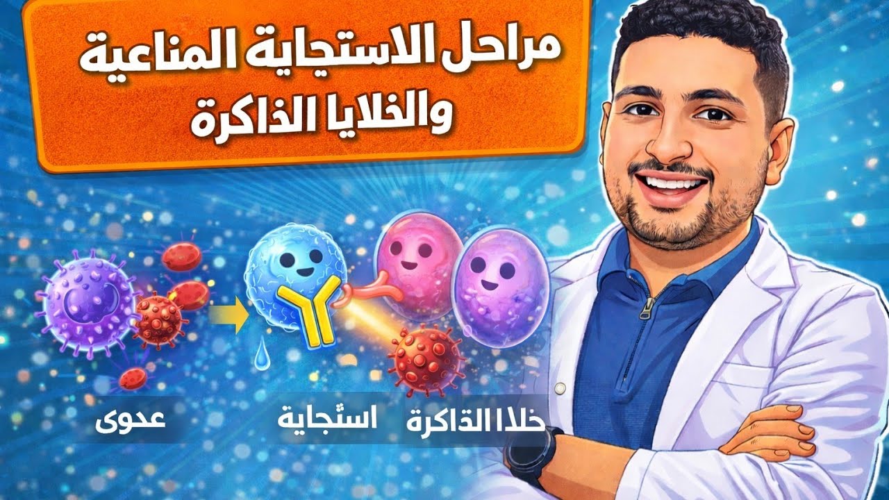 شرح الاستجابة المناعية وخلايا الذاكرة 🧠 | أحياء تالتة ثانوي 2026 | المناعة الأولية والثانوية