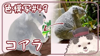 【一緒に朝活】色模写の火曜日＃４９【ゆる～くお絵描き】