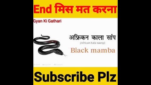 snakes vocabulary - 7 |snakes name|snakes #snakes #snake #shorts #viral