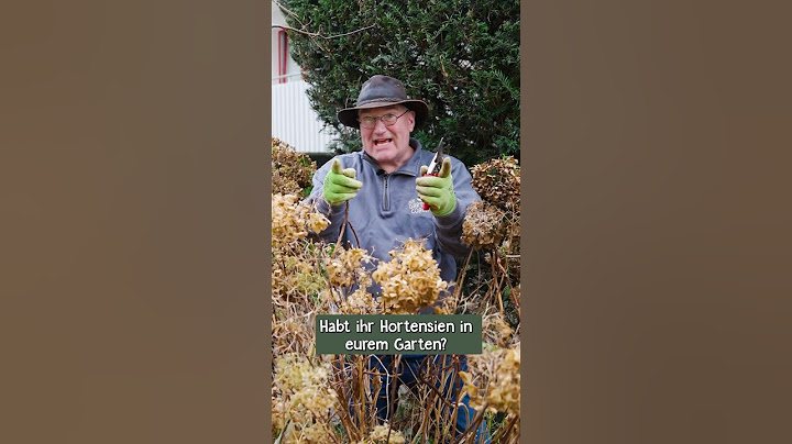 Cutting hydrangeas and panicle hydrangeas ✂️