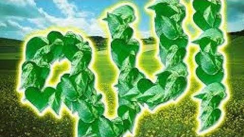 تلاوه هادئه ورائعه تريح القلب والأعصاب وتهدئة النفوس ماشاء الله تبارك الله