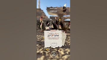 إن الله وملائكته يصلون على النبي  #تلاوة_خاشعة #اكسبلور