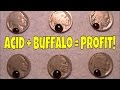 $$$ USING ACID TO RESTORE DATE ON BUFFALO NICKELS FOR PROFIT! $$$