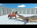 NEW RIDER UNIT HUSSAR in Cage vs ALL UNITS Animal Revolt Battle Simulator