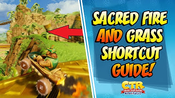 PREPARE FOR THE DEVELOPER TIMES! Papu