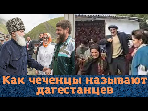 Как и почему чеченцы называют дагестанцев?