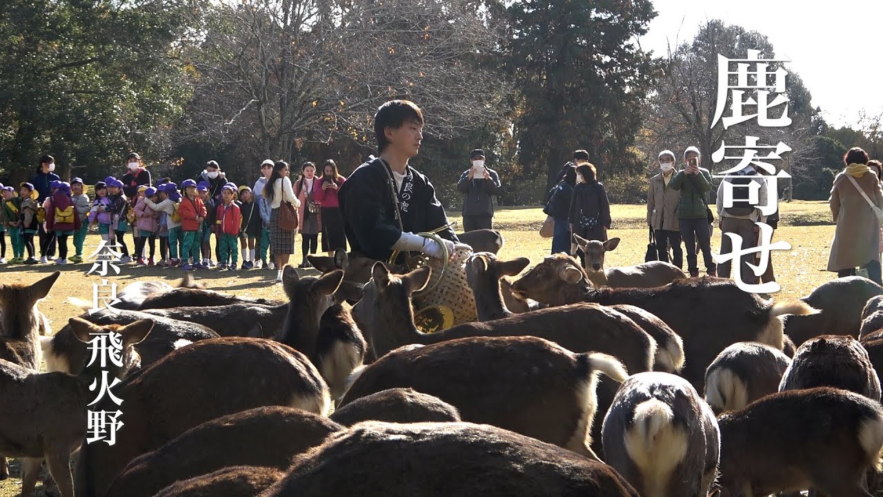 It's a horn. It's a feast. Everyone gather! Deer gathering at