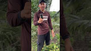 Bisa cod alat pengukur ph tanah