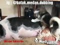 Dubbing Batak Paling lucu se Dunia ngakakkk