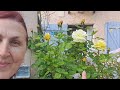 France /С Наступающей Пасхой В  Саду у ПровансАллочки. Мои Розы Пеларгонии и Цветы 💐