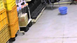 ヤエンの滑り方