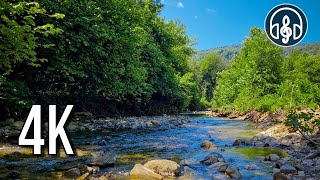 Beautiful spring nature. The gentle sounds of the river with the singing of morning birds.