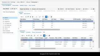 Create a Transformation using a Custom Program video thumbnail