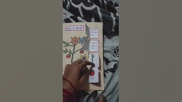 TLM  showing Parts of plants GPS Lahdoli #nipunfaridabad #nipunharyana