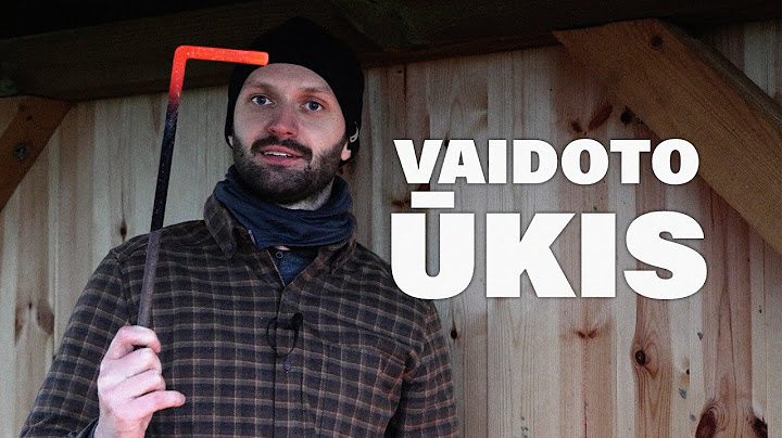 VAIDOTO ŪKIS - DUMPLĖS ŽAIZDRUI / 43