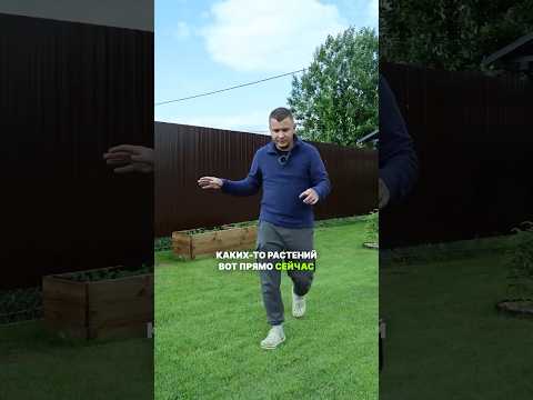 Вот так выглядят мои высокие грядки через 3 месяца #загородныйдом