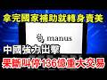 拿完國家錢，轉身打包賣給美國人，還挑在這個節骨眼上，妳說紮不紮眼？更搞笑的是，他真以為自己換個註冊地，玩兩下股權花活，國家就看不見了。