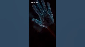 What is bioluminescence and how does it work?