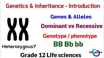 Genetics and inheritance  - Grade 12 Life sciences