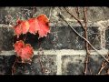 Laura Fygi - Autumn Leaves