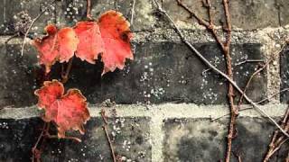 Laura Fygi - Autumn Leaves chords