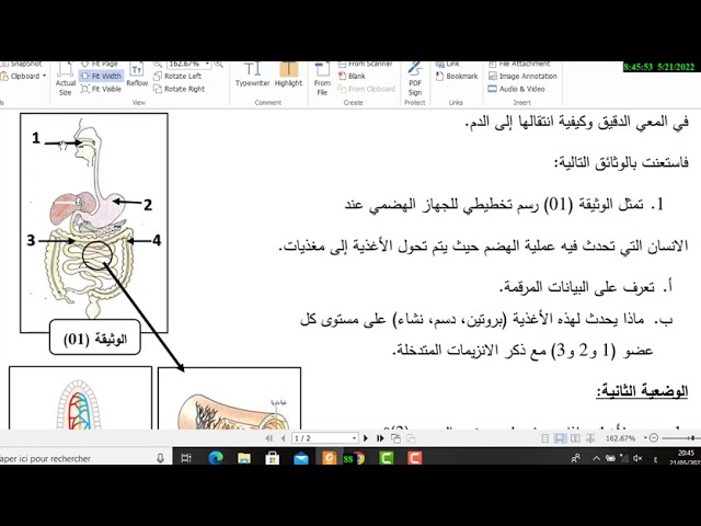 الحصة 01 من المراجعة الشاملة لامتحان الشهادة في مادة العلوم الطبيعية