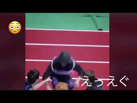 うさぎ🐰は筋肉💪豚🐷でした