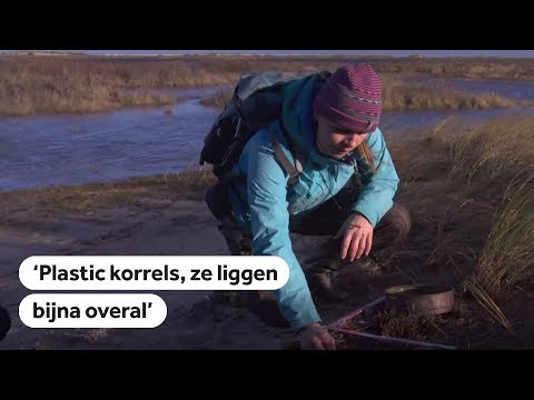 MICROPLASTICS: Op Schiermonnikoog liggen na de MSC Zoe bijna overal kleine plastic deeltjes