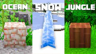 I Added a Block for EVERY BIOME in Minecraft screenshot 5