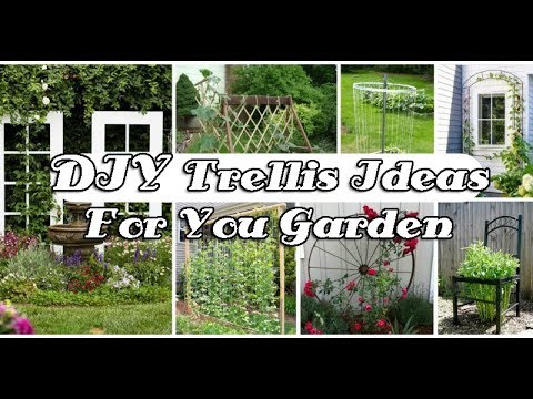 13 DIY Trellis Ideas For You Garden - YouTube