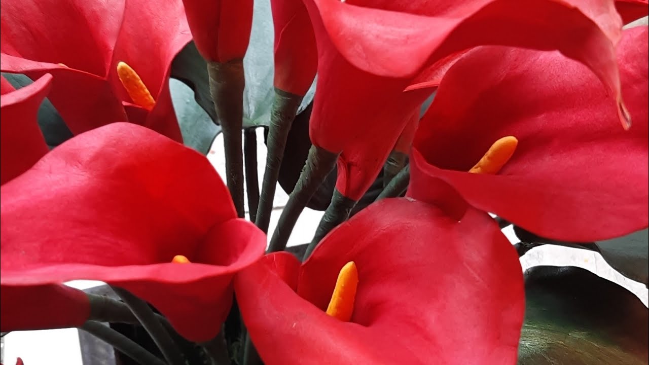 Copo de leite em e v a