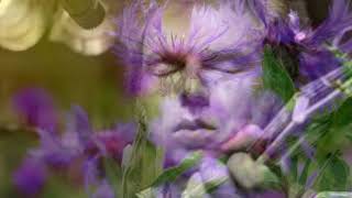 Purple heather, Van Morrison,