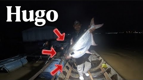 Câu Cá Vồ Đém Mùa Nước Nổi #50 || Chinh Phục Hugo Thành Công Sau Lần Thứ 3 Trở Lại