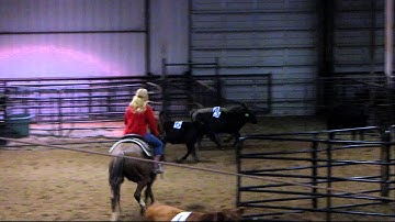 WSR Smartlil Badger - 11/7/12 sorting practice 4 - Valley View Ranch