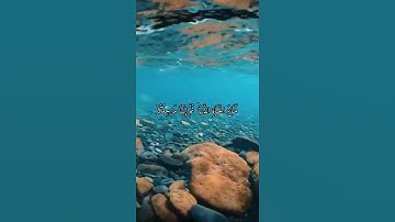تلاوة مميزة للشيخ ياسر الدوسري.من سورة يونس.مقتبس من صلاة العشاء.15جمادي الاولى.1442