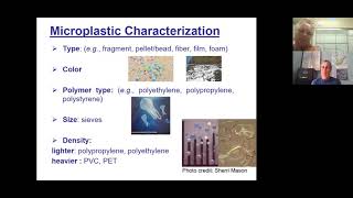 Microplastics & Lake Champlain Webinar