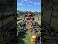 Garden Tour | May 2026 #thefarmwifereads #homesteadlife #gardentour #eatfresh #farmlife