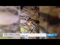 Four villagers rescued from flooded cave in Laos after 10 days