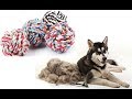 Làm len từ lông chó rất độc đáo và dễ dàng