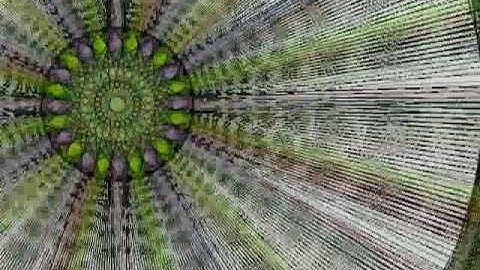 Processing Animations