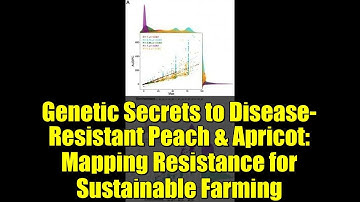 Genetic Secrets to Disease-Resistant Peach & Apricot: Mapping Resistance for Sustainable Farming