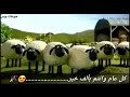 اجانه العيد » مواليد عيد. الاضحى المبارك » 2019 